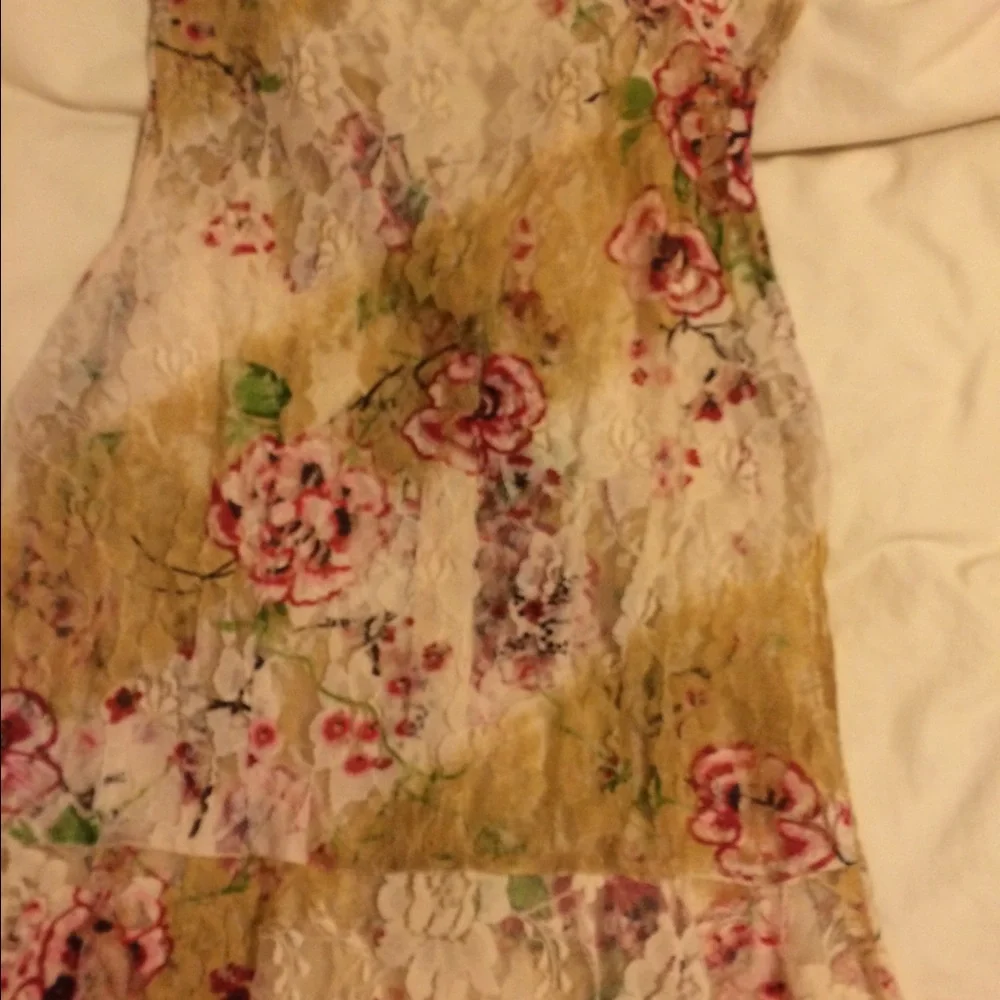 Anthropologie Floral Lace Ruffle Sleeveless Blouse in Cream and Pink
